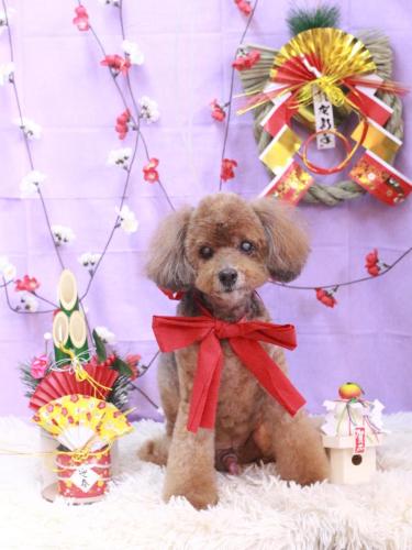 20230129颯太くん